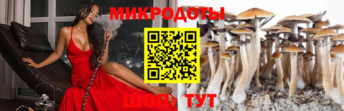 Джанкой  Псилоцибиновые грибы Psilocybine cubensis  Галлюциногенные грибы мухоморы  Вход с VPN 